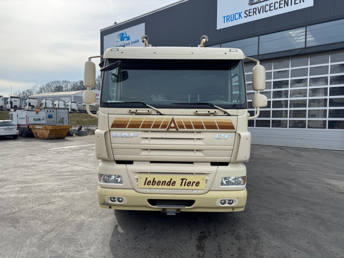 DAF CF410 4x2 - Φορτηγό μεταφορά ζώων: φωτογραφία 2 DAF CF410 4x2 - Φορτηγό μεταφορά ζώων: φωτογραφία 2