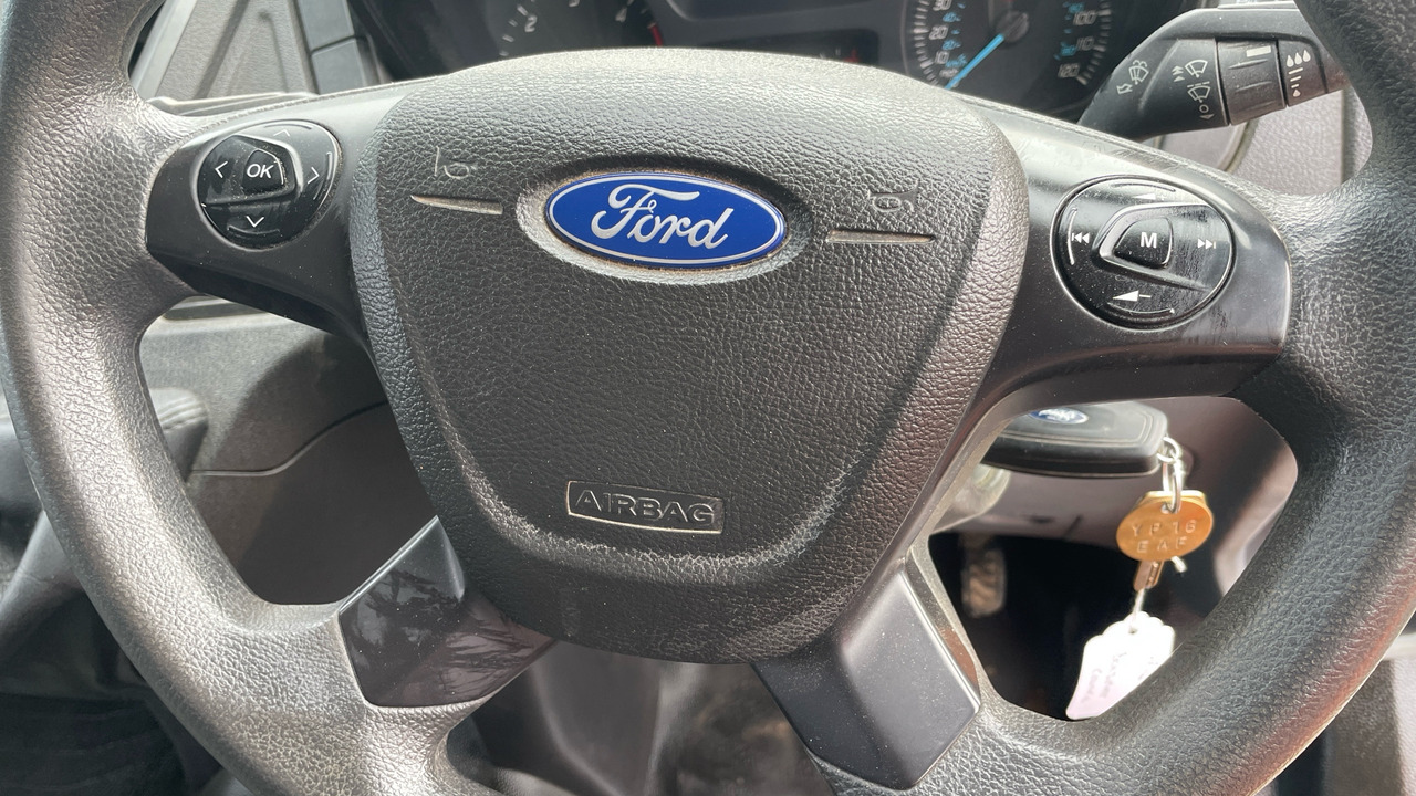 Βαν FORD TRANSIT 350 2.2 TDCi 125PS: φωτογραφία 17