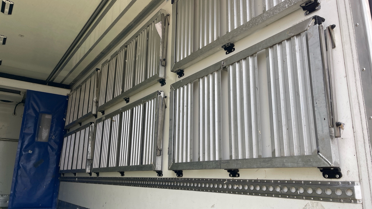 Φορτηγό ψυγείο ISUZU F135 240: φωτογραφία 16 Φορτηγό ψυγείο ISUZU F135 240: φωτογραφία 16