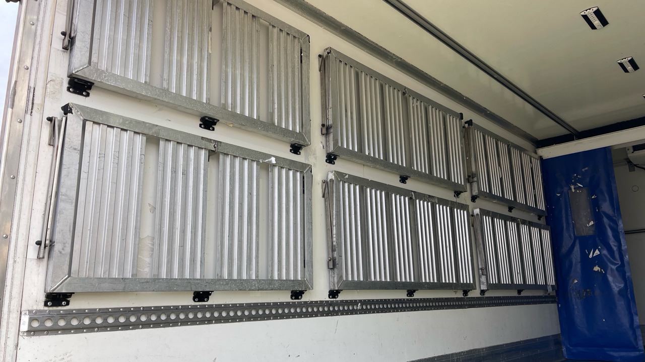 Φορτηγό ψυγείο ISUZU F135 240: φωτογραφία 17 Φορτηγό ψυγείο ISUZU F135 240: φωτογραφία 17