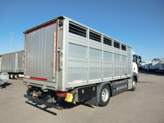 MAN TGS 18.420 Tiertransporter,Euro 6, Manual Seilwinde, el. Ladebordwand Voll Luft - Φορτηγό μεταφοράς αλόγων: φωτογραφία 4 MAN TGS 18.420 Tiertransporter,Euro 6, Manual Seilwinde, el. Ladebordwand Voll Luft - Φορτηγό μεταφοράς αλόγων: φωτογραφία 4