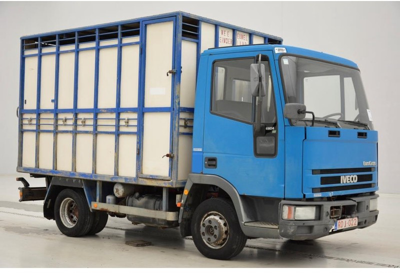 Iveco 65E14 - Φορτηγό μεταφορά ζώων: φωτογραφία 3 Iveco 65E14 - Φορτηγό μεταφορά ζώων: φωτογραφία 3