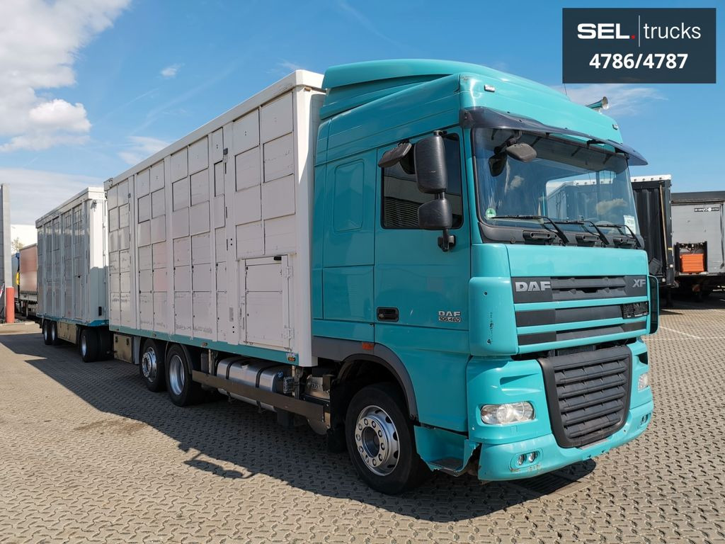 DAF XF 105.460 / Intarder / 4 Stock / KOMPLETT ! DAF XF 105.460 / Intarder / 4 Stock / KOMPLETT ! - Φορτηγό μεταφορά ζώων: φωτογραφία 4 DAF XF 105.460 / Intarder / 4 Stock / KOMPLETT ! DAF XF 105.460 / Intarder / 4 Stock / KOMPLETT ! - Φορτηγό μεταφορά ζώων: φωτογραφία 4
