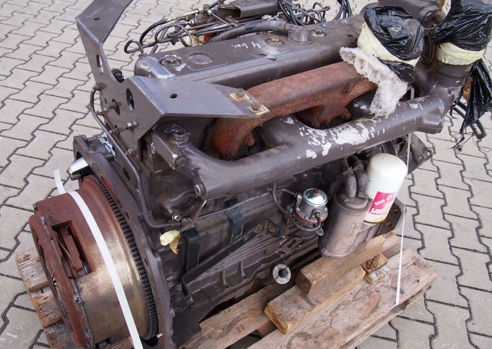 Części do Ciągnika Massey Ferguson MF 3000 Silnik 6 cylindrowy Perkins A6.354
Ciśnienie oleju na wolnych obrotach 4bary - Κινητήρας για Γεωργικά μηχανήματα: φωτογραφία 5 Części do Ciągnika Massey Ferguson MF 3000 Silnik 6 cylindrowy Perkins A6.354
Ciśnienie oleju na wolnych obrotach 4bary - Κινητήρας για Γεωργικά μηχανήματα: φωτογραφία 5
