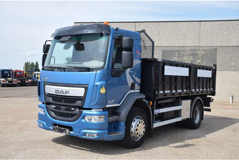 DAF LF 310 - Φορτηγό ανατρεπόμενο: φωτογραφία 5 DAF LF 310 - Φορτηγό ανατρεπόμενο: φωτογραφία 5