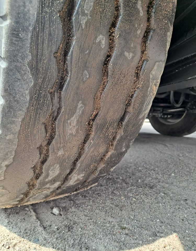 Τρέιλερ κουρτίνα JUNG Przyczepa Tandem do nauki jazdy: φωτογραφία 9 Τρέιλερ κουρτίνα JUNG Przyczepa Tandem do nauki jazdy: φωτογραφία 9