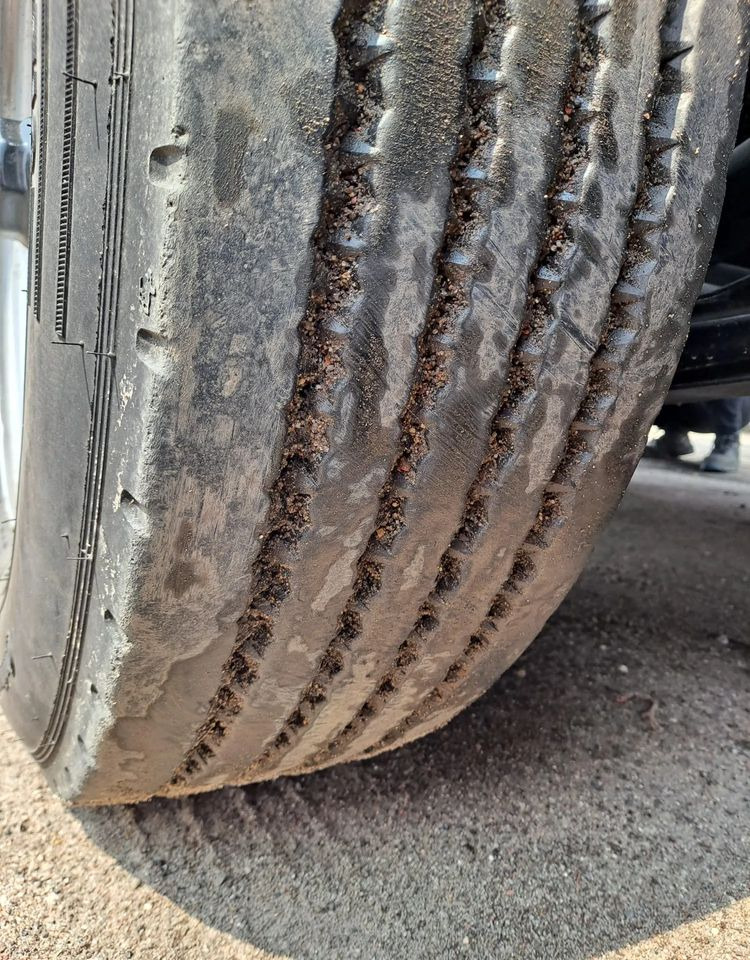 Τρέιλερ κουρτίνα JUNG Przyczepa Tandem do nauki jazdy: φωτογραφία 7 Τρέιλερ κουρτίνα JUNG Przyczepa Tandem do nauki jazdy: φωτογραφία 7