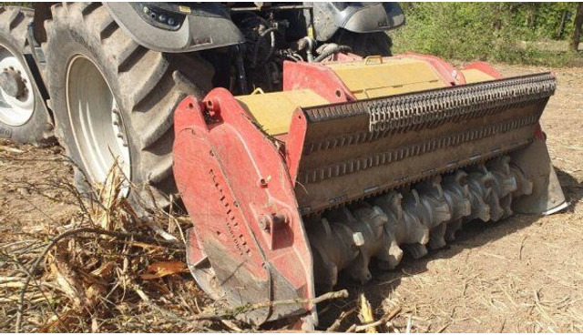 SEPPI M Starforst 2MEC 235 - Καταστροφέας κλαδιών: φωτογραφία 1 SEPPI M Starforst 2MEC 235 - Καταστροφέας κλαδιών: φωτογραφία 1