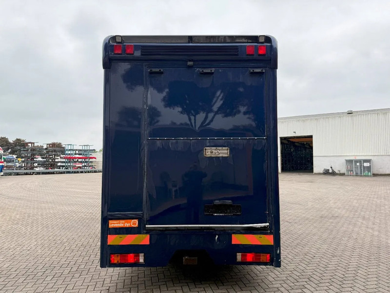 Mercedes-Benz Atego 1223 / ENGINE RUNNING / ONLY:159450 KM / HORSETRUCK / HEATED BOX / WATERTANK / LIVING ROOM / EURO-2 / MANUAL / 1998 - Φορτηγό μεταφοράς αλόγων: φωτογραφία 4 Mercedes-Benz Atego 1223 / ENGINE RUNNING / ONLY:159450 KM / HORSETRUCK / HEATED BOX / WATERTANK / LIVING ROOM / EURO-2 / MANUAL / 1998 - Φορτηγό μεταφοράς αλόγων: φωτογραφία 4