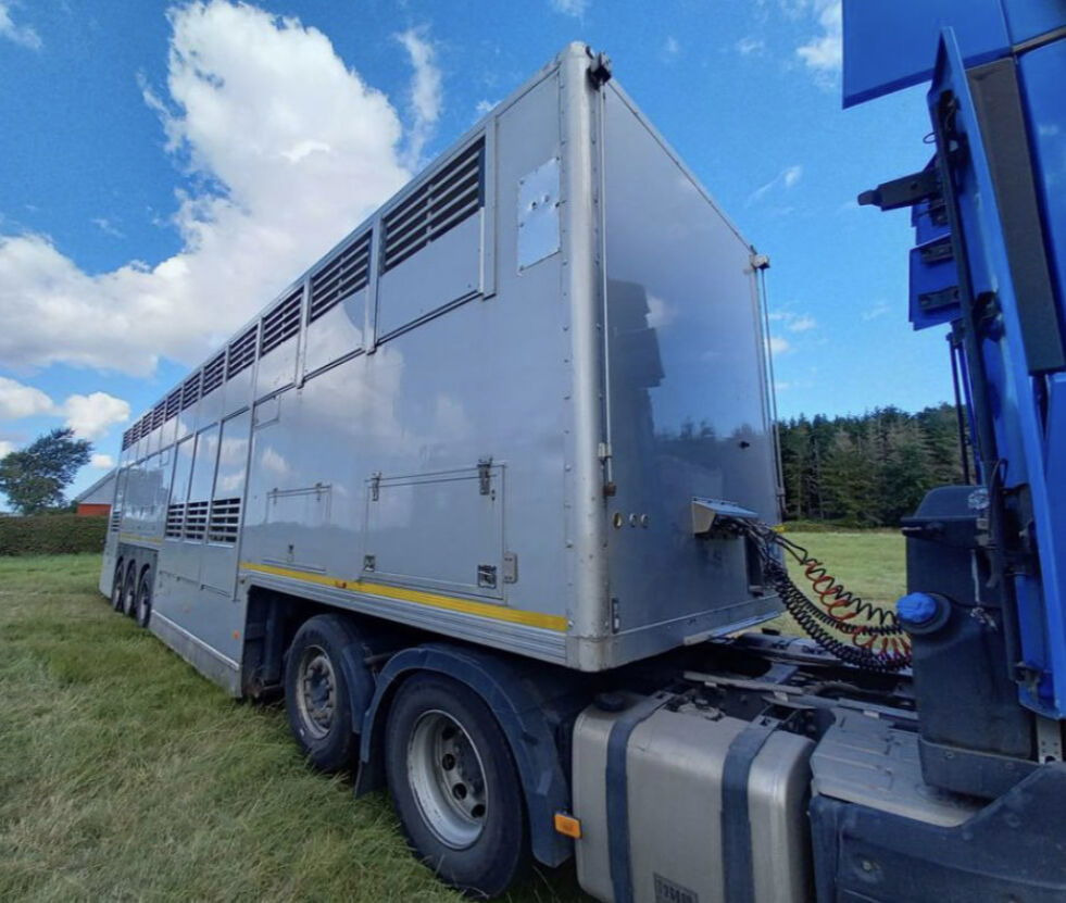 Gray and Adams Gadd3 / Works Great / Hydraulic / 2 Levels - Επικαθήμενο μεταφορά ζώων: φωτογραφία 4 Gray and Adams Gadd3 / Works Great / Hydraulic / 2 Levels - Επικαθήμενο μεταφορά ζώων: φωτογραφία 4