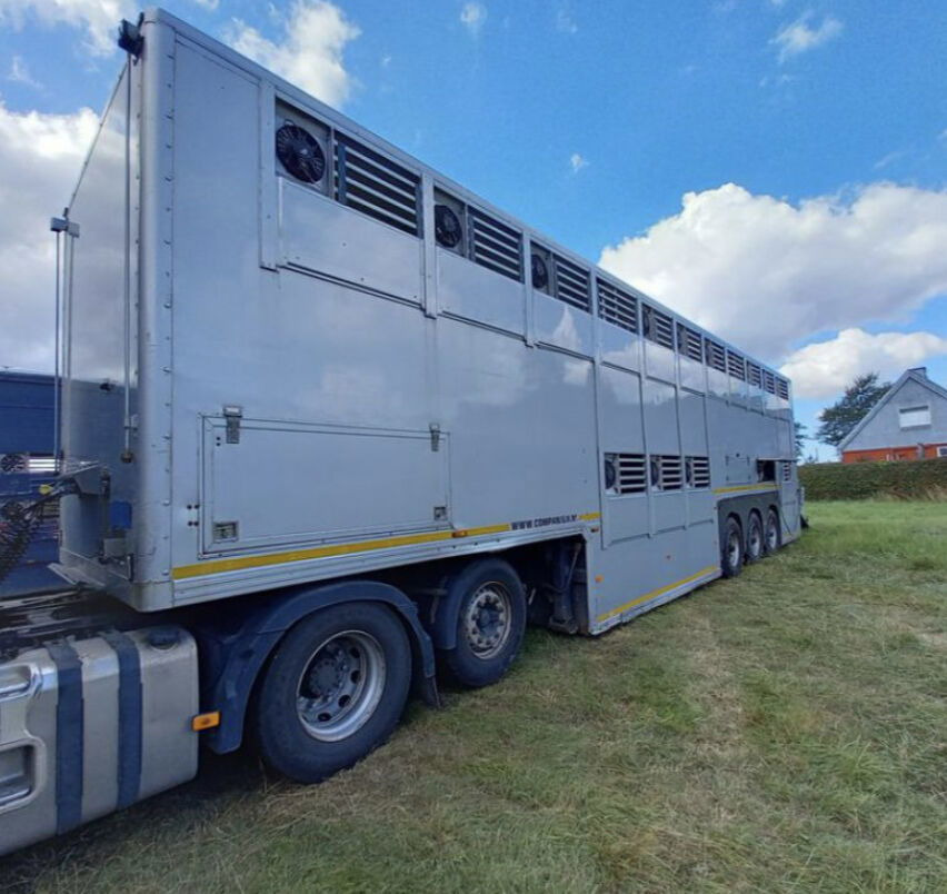 Gray and Adams Gadd3 / Works Great / Hydraulic / 2 Levels - Επικαθήμενο μεταφορά ζώων: φωτογραφία 5 Gray and Adams Gadd3 / Works Great / Hydraulic / 2 Levels - Επικαθήμενο μεταφορά ζώων: φωτογραφία 5