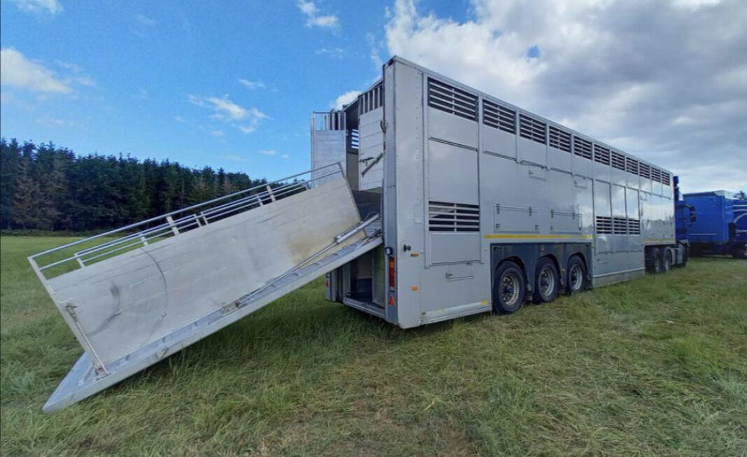 Gray and Adams Gadd3 / Works Great / Hydraulic / 2 Levels - Επικαθήμενο μεταφορά ζώων: φωτογραφία 2 Gray and Adams Gadd3 / Works Great / Hydraulic / 2 Levels - Επικαθήμενο μεταφορά ζώων: φωτογραφία 2