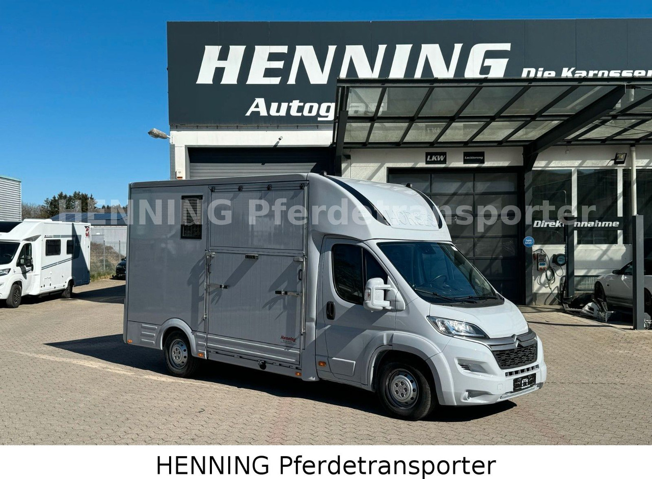 Citroën Jumper 3 - Sitzer *AUFBAU NEU* - Φορτηγό μεταφοράς αλόγων: φωτογραφία 1 Citroën Jumper 3 - Sitzer *AUFBAU NEU* - Φορτηγό μεταφοράς αλόγων: φωτογραφία 1