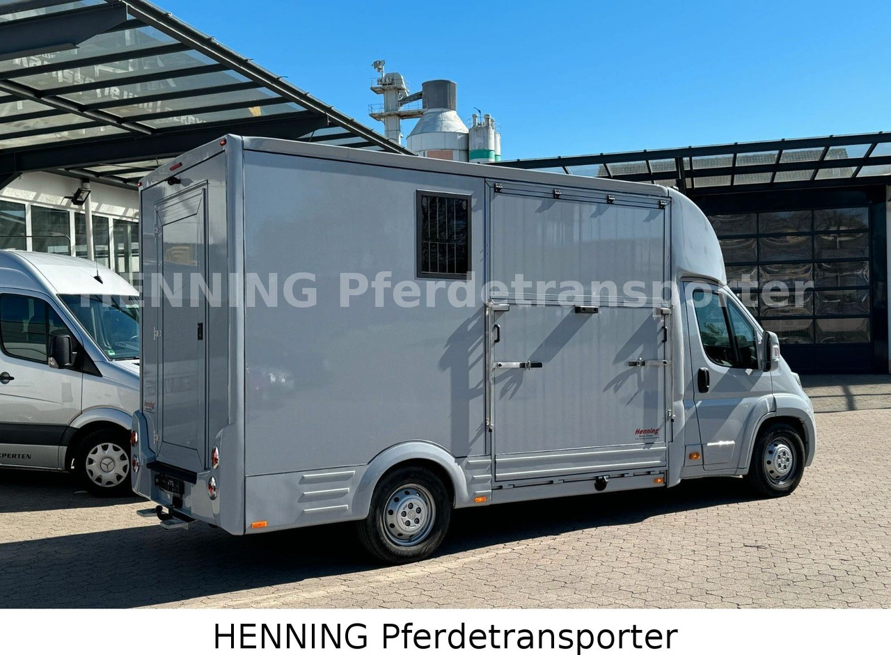 Citroën Jumper 3 - Sitzer - Φορτηγό μεταφοράς αλόγων: φωτογραφία 3 Citroën Jumper 3 - Sitzer - Φορτηγό μεταφοράς αλόγων: φωτογραφία 3