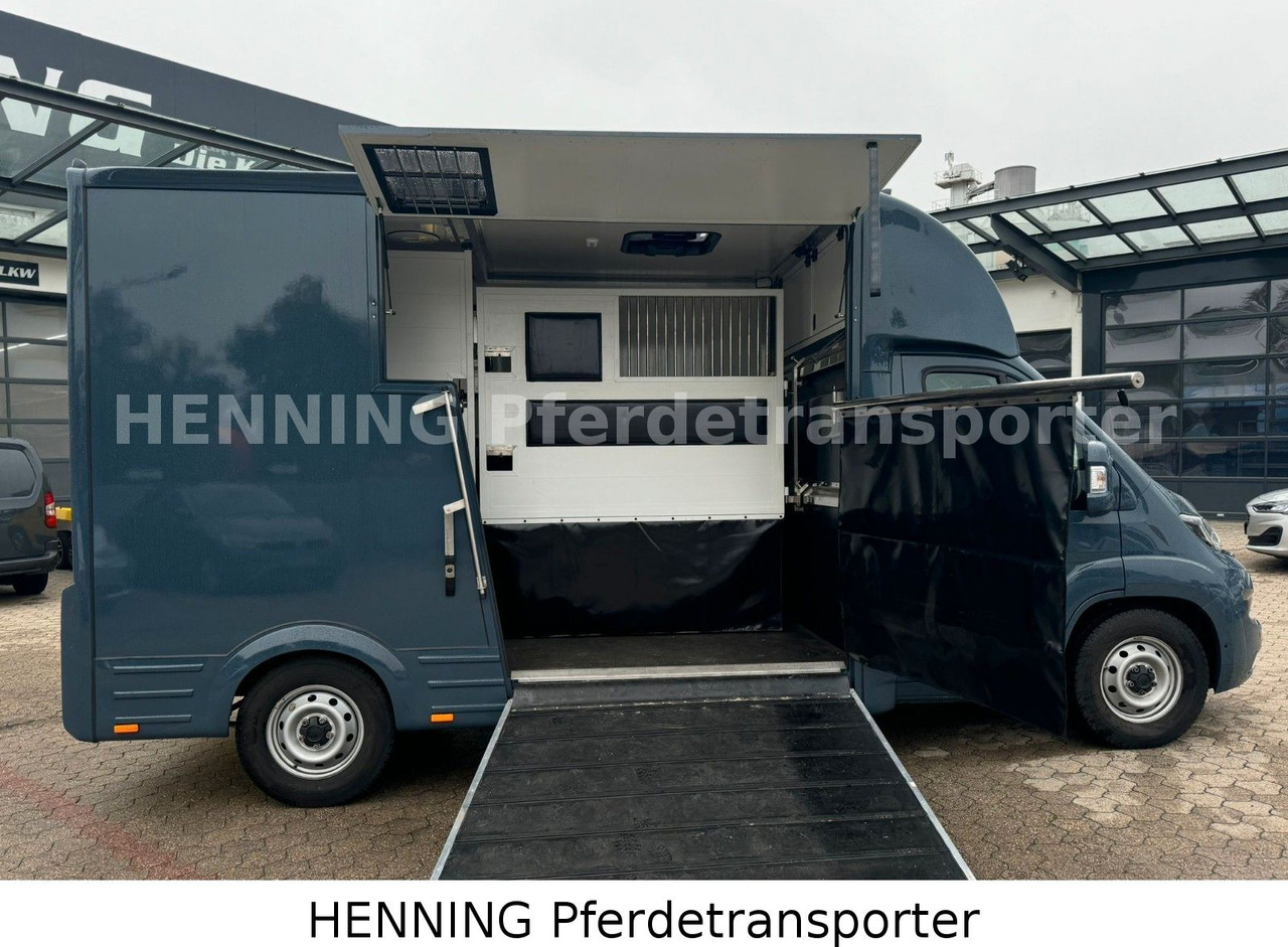 Fiat Ducato *AUTOMATIK* 3 - Sitzer - Φορτηγό μεταφορά ζώων: φωτογραφία 4 Fiat Ducato *AUTOMATIK* 3 - Sitzer - Φορτηγό μεταφορά ζώων: φωτογραφία 4