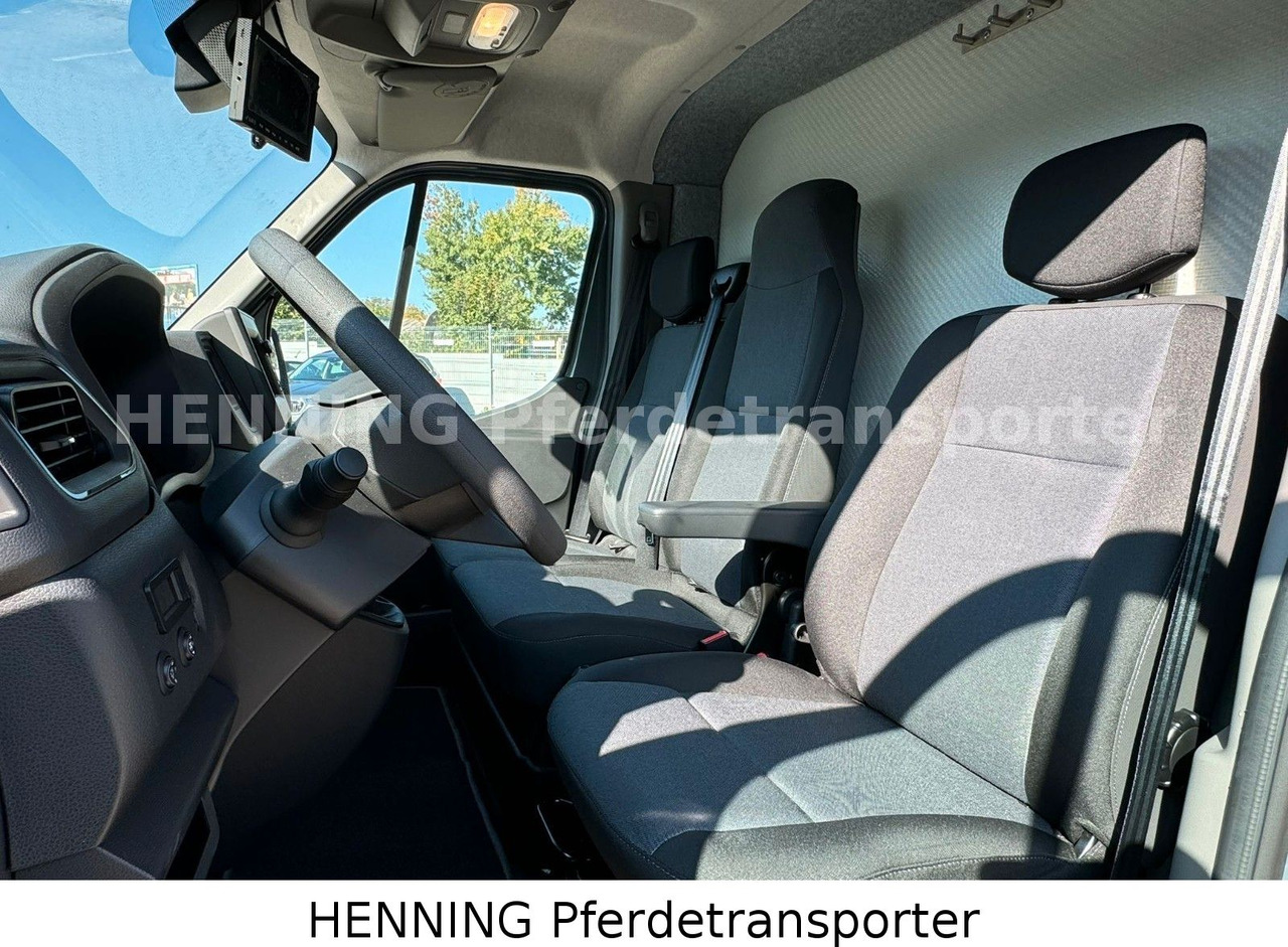 Nissan Interstar 3 - Sitzer - Φορτηγό μεταφορά ζώων: φωτογραφία 5 Nissan Interstar 3 - Sitzer - Φορτηγό μεταφορά ζώων: φωτογραφία 5