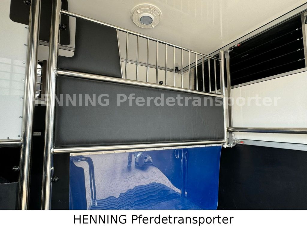 Μίσθωση Renault Master 3 - Sitzer  Renault Master 3 - Sitzer: φωτογραφία 6