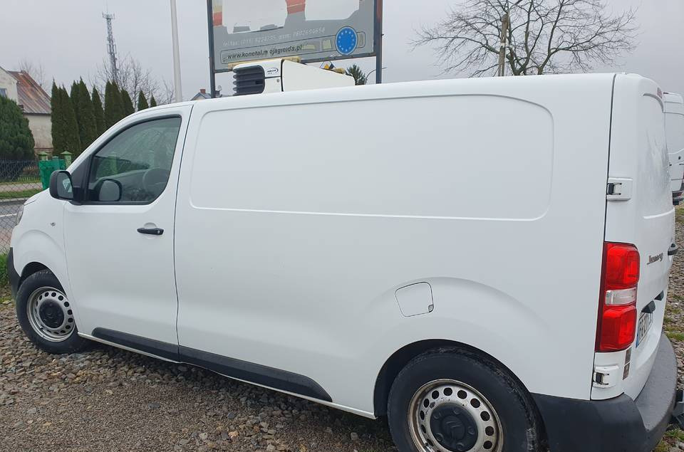 Επαγγελματικό αυτοκίνητο ψυγείο Citroen JUMPY CHLODNIA MROZNIA CARRIER+230V KLIMA EURO6 [ Copy ] [ Copy ]: φωτογραφία 9