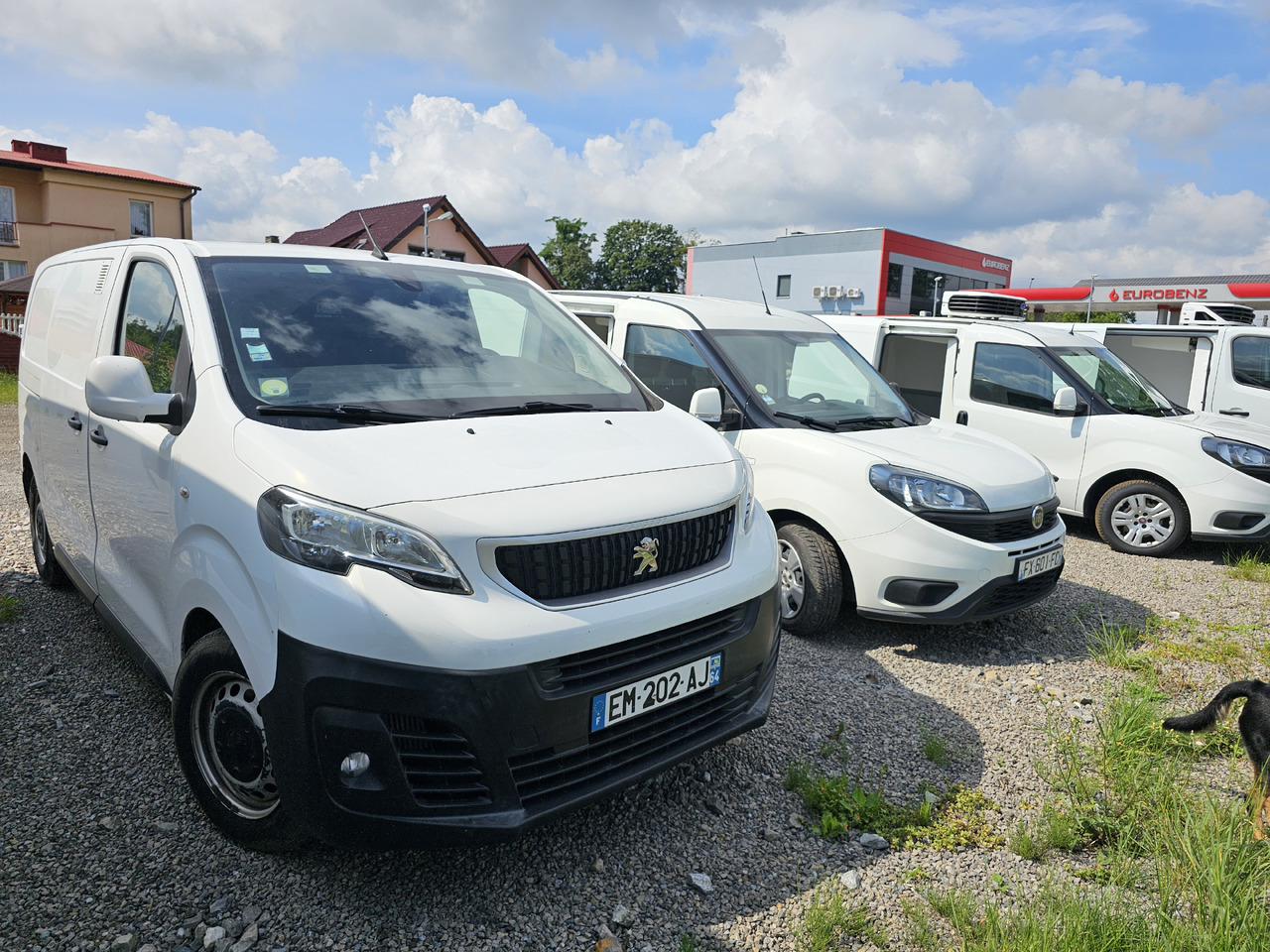 PEUGEOT Expert CHLODNIA THERMOKING KLIMA EURO6 - Επαγγελματικό αυτοκίνητο ψυγείο: φωτογραφία 1 PEUGEOT Expert CHLODNIA THERMOKING KLIMA EURO6 - Επαγγελματικό αυτοκίνητο ψυγείο: φωτογραφία 1