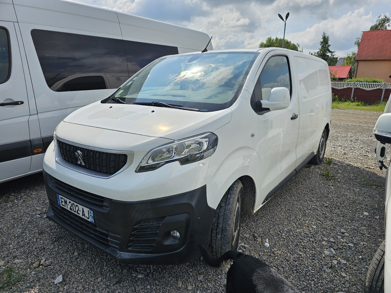 PEUGEOT Expert CHLODNIA THERMOKING KLIMA EURO6 - Επαγγελματικό αυτοκίνητο ψυγείο: φωτογραφία 3 PEUGEOT Expert CHLODNIA THERMOKING KLIMA EURO6 - Επαγγελματικό αυτοκίνητο ψυγείο: φωτογραφία 3