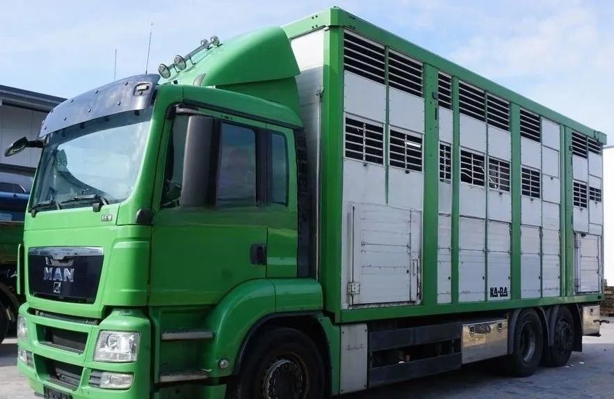 MAN TGS 26.440 ZABUDOWA KABA CAŁA ALUMINIOWA– samochód do transportu zwierząt/koni – 3 pokłady / EURO 5/6X2/PODNOSZONY DACH - Φορτηγό μεταφορά ζώων: φωτογραφία 1 MAN TGS 26.440 ZABUDOWA KABA CAŁA ALUMINIOWA– samochód do transportu zwierząt/koni – 3 pokłady / EURO 5/6X2/PODNOSZONY DACH - Φορτηγό μεταφορά ζώων: φωτογραφία 1