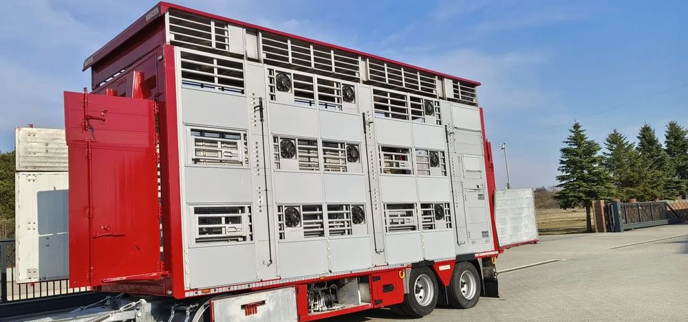 Pezzaioli RBA 32/TRZYOSIOWA PRZYCZEPA-2XBYDŁO,3X TRZODA - Ρυμούλκα μεταφορά ζώων: φωτογραφία 3 Pezzaioli RBA 32/TRZYOSIOWA PRZYCZEPA-2XBYDŁO,3X TRZODA - Ρυμούλκα μεταφορά ζώων: φωτογραφία 3