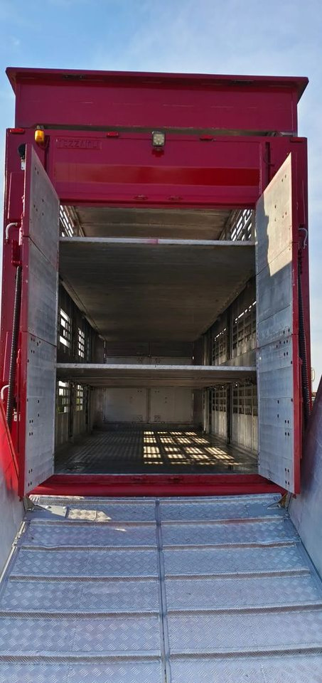 Pezzaioli RBA 32/TRZYOSIOWA PRZYCZEPA-2XBYDŁO,3X TRZODA - Ρυμούλκα μεταφορά ζώων: φωτογραφία 5 Pezzaioli RBA 32/TRZYOSIOWA PRZYCZEPA-2XBYDŁO,3X TRZODA - Ρυμούλκα μεταφορά ζώων: φωτογραφία 5