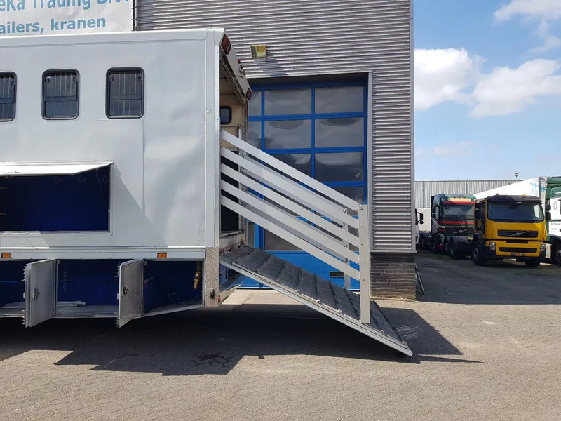 DAF 95.350 Paardenwagen met zitverblijf 7 paarden 7 horses - Φορτηγό μεταφοράς αλόγων: φωτογραφία 5 DAF 95.350 Paardenwagen met zitverblijf 7 paarden 7 horses - Φορτηγό μεταφοράς αλόγων: φωτογραφία 5