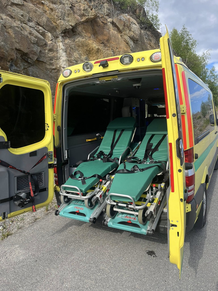 Ασθενοφόρο Mercedes-Benz Sprinter 316 - 2 stretcher AMBULANCE / Krankenwagen / Швидка допомога: φωτογραφία 17