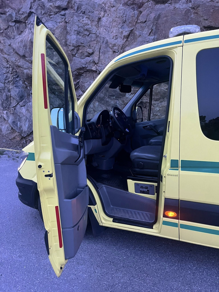 Ασθενοφόρο Mercedes-Benz Sprinter 316 - 2 stretcher AMBULANCE / Krankenwagen / Швидка допомога: φωτογραφία 21