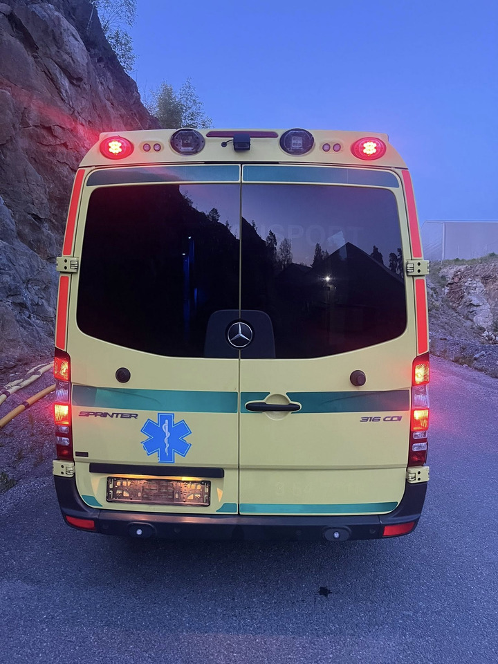 Ασθενοφόρο Mercedes-Benz Sprinter 316 - 2 stretcher AMBULANCE / Krankenwagen / Швидка допомога: φωτογραφία 7