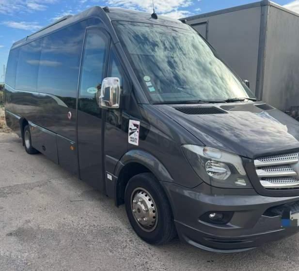 Mercedes-Benz SPICA / SPRINTER 519 / SPROWADZONY / KLIMA / TV - Πούλμαν: φωτογραφία 1 Mercedes-Benz SPICA / SPRINTER 519 / SPROWADZONY / KLIMA / TV - Πούλμαν: φωτογραφία 1