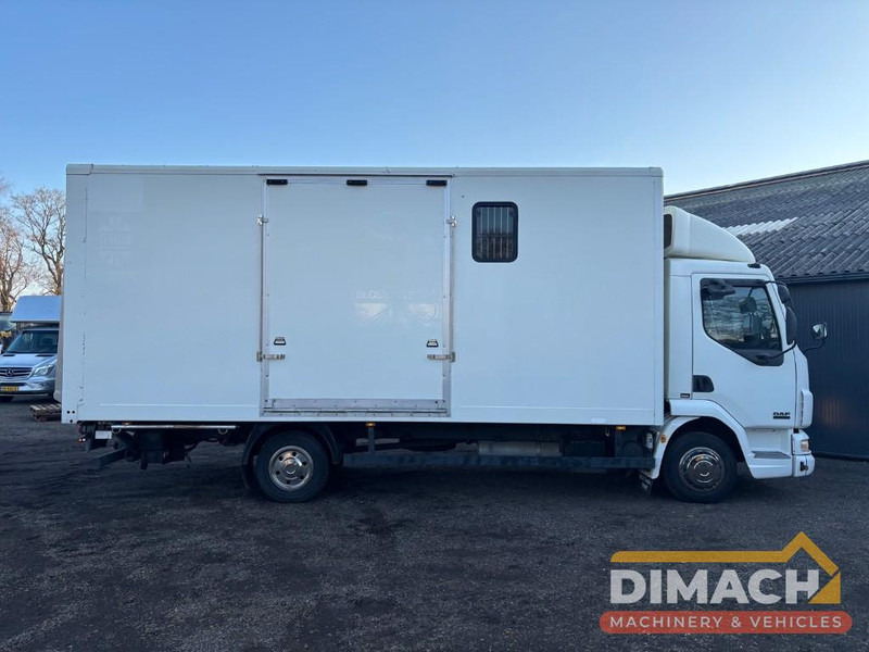 DAF FA LF45.150 4 paards, laadlift. Horsetruck NL truck - Φορτηγό μεταφοράς αλόγων: φωτογραφία 4 DAF FA LF45.150 4 paards, laadlift. Horsetruck NL truck - Φορτηγό μεταφοράς αλόγων: φωτογραφία 4