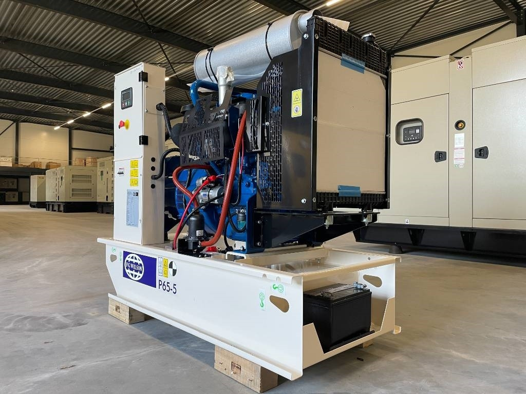 FG Wilson P65-5 - 65 kVA Open Genset - DPX-16006-O - Βιομηχανική γεννήτρια: φωτογραφία 5 FG Wilson P65-5 - 65 kVA Open Genset - DPX-16006-O - Βιομηχανική γεννήτρια: φωτογραφία 5
