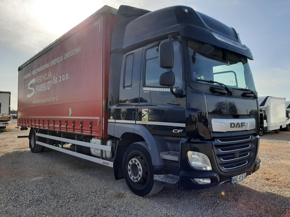 DAF CF 320 FA/ZSP SOLÓWKA - Φορτηγό μουσαμάς: φωτογραφία 1 DAF CF 320 FA/ZSP SOLÓWKA - Φορτηγό μουσαμάς: φωτογραφία 1