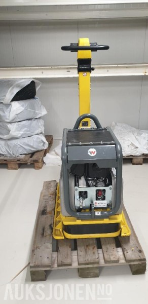 2024 Wacker DPU5545 Vibroplate - Οδοστρωτήρας: φωτογραφία 1 2024 Wacker DPU5545 Vibroplate - Οδοστρωτήρας: φωτογραφία 1