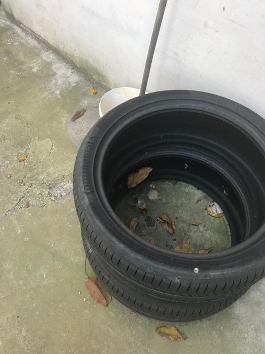 Continental NOI NOU ContisportContact 255 / 40 ZR 21 - Πλήρης τροχός: φωτογραφία 2 Continental NOI NOU ContisportContact 255 / 40 ZR 21 - Πλήρης τροχός: φωτογραφία 2