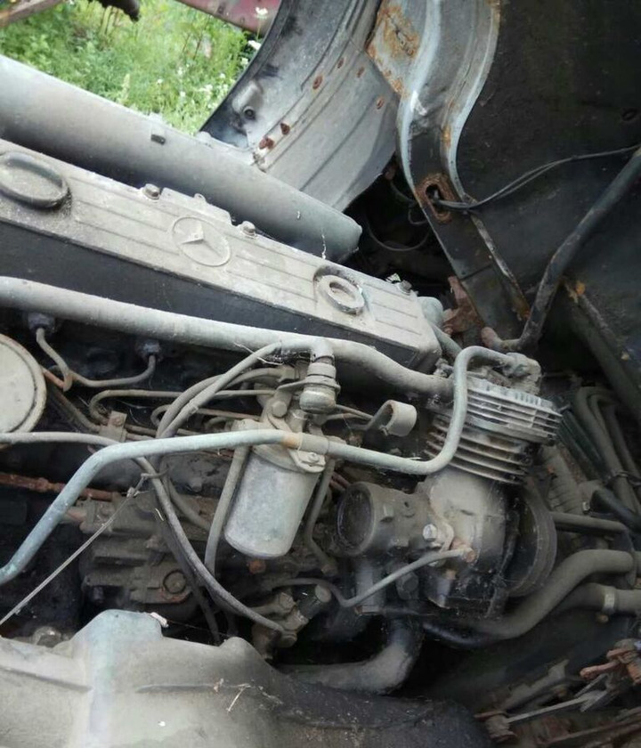 Mercedes-Benz OM366 170 E2   Mercedes-Benz - Κινητήρας για Φορτηγό: φωτογραφία 1 Mercedes-Benz OM366 170 E2   Mercedes-Benz - Κινητήρας για Φορτηγό: φωτογραφία 1