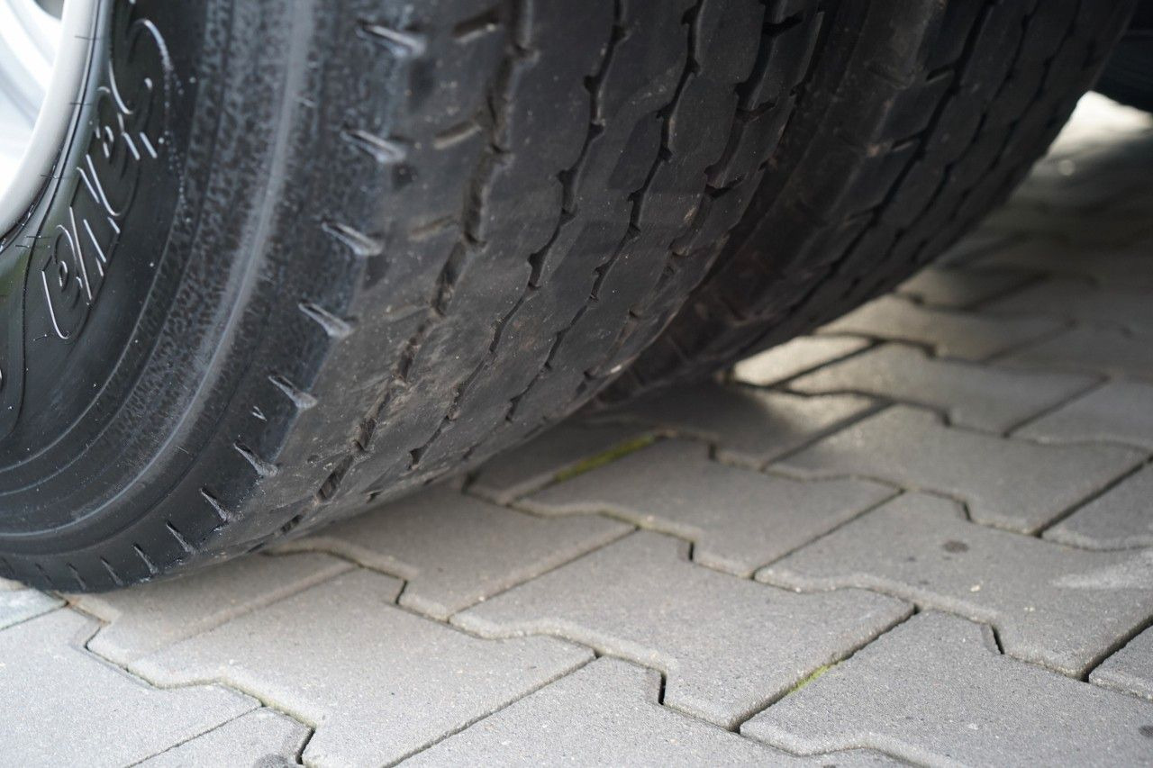 Τράκτορας MAN TGX 18.500 / RETARDER / NAVI RIO / XLX: φωτογραφία 20