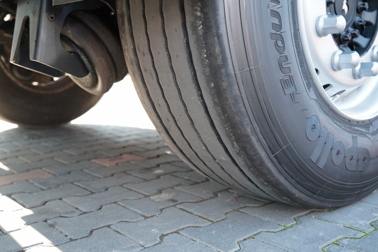 Επικαθήμενο κουρτίνα Schmitz Cargobull FIRANKA / STANDARD / MULDA DO STALI - 9 M / DACH: φωτογραφία 22