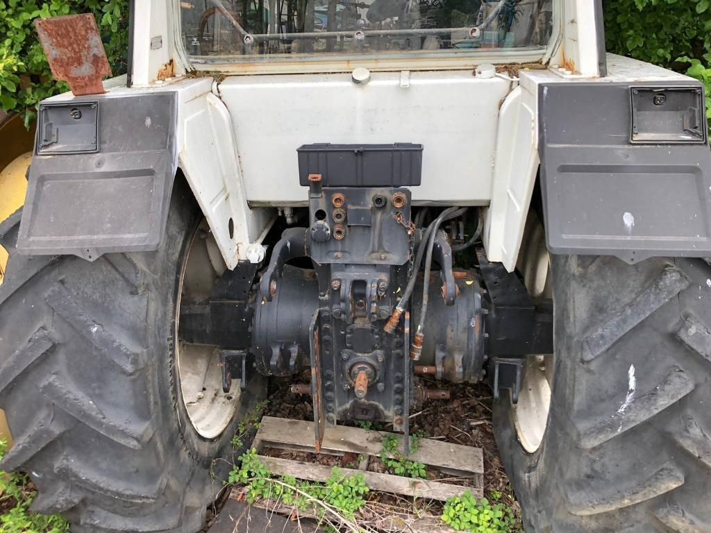 Lamborghini For Parts 1556 DT - Τρακτέρ: φωτογραφία 1 Lamborghini For Parts 1556 DT - Τρακτέρ: φωτογραφία 1