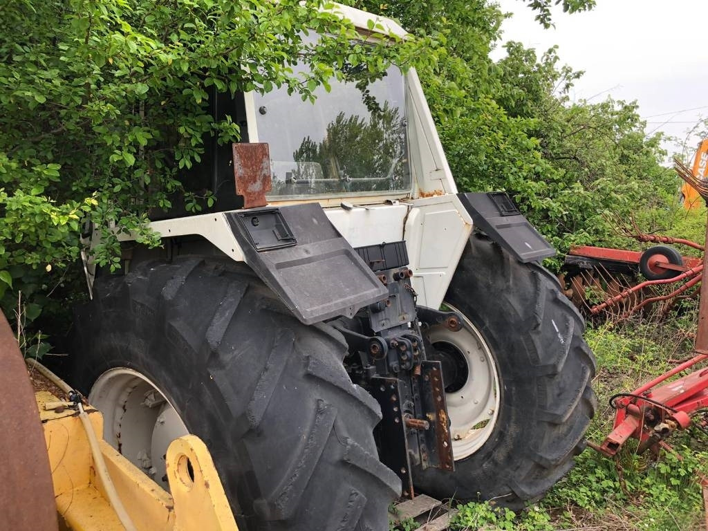 Lamborghini For Parts 1556 DT - Τρακτέρ: φωτογραφία 2 Lamborghini For Parts 1556 DT - Τρακτέρ: φωτογραφία 2