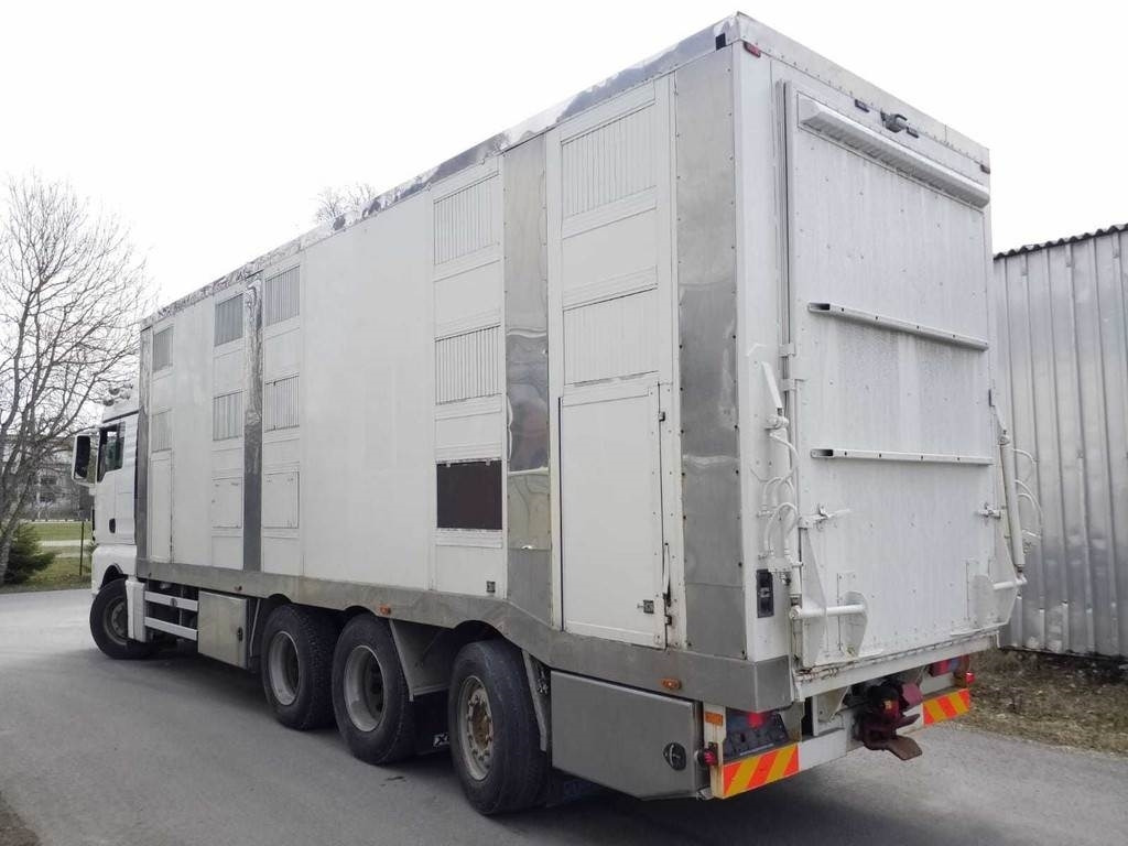 MAN TGX 35.540 8X4 TRIDEM ANIMAL  - Φορτηγό μεταφορά ζώων: φωτογραφία 2 MAN TGX 35.540 8X4 TRIDEM ANIMAL  - Φορτηγό μεταφορά ζώων: φωτογραφία 2