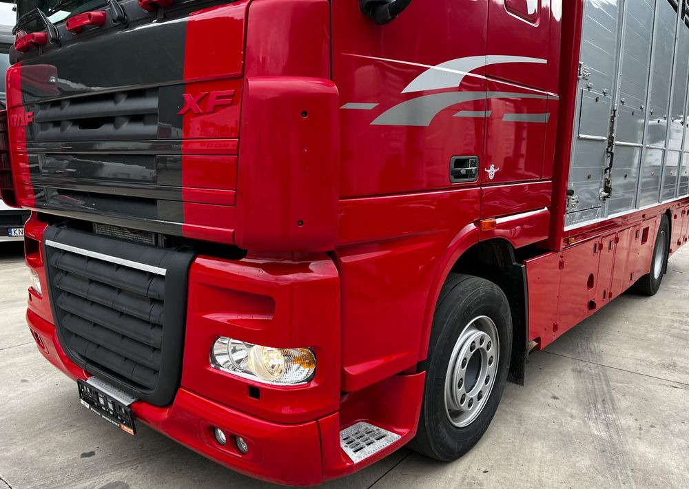 DAF XF 105.460 Euro 5 // Manual // Retarder // Do Żywca / Bydła / Zwierząt / - Φορτηγό μεταφορά ζώων: φωτογραφία 4 DAF XF 105.460 Euro 5 // Manual // Retarder // Do Żywca / Bydła / Zwierząt / - Φορτηγό μεταφορά ζώων: φωτογραφία 4