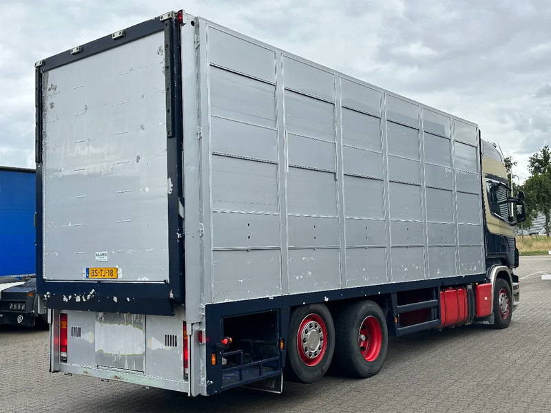 Scania R420 6x2 Topline / 3 Stock Animal Transport / Retarder / Euro 5 - Φορτηγό μεταφορά ζώων: φωτογραφία 3 Scania R420 6x2 Topline / 3 Stock Animal Transport / Retarder / Euro 5 - Φορτηγό μεταφορά ζώων: φωτογραφία 3