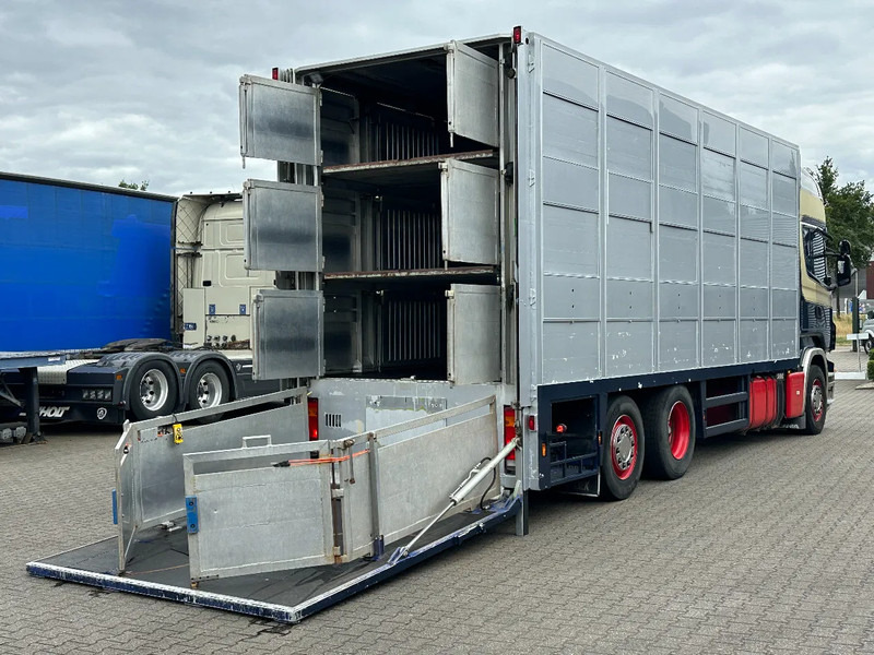 Scania R420 6x2 Topline / 3 Stock Animal Transport / Retarder / Euro 5 - Φορτηγό μεταφορά ζώων: φωτογραφία 5 Scania R420 6x2 Topline / 3 Stock Animal Transport / Retarder / Euro 5 - Φορτηγό μεταφορά ζώων: φωτογραφία 5