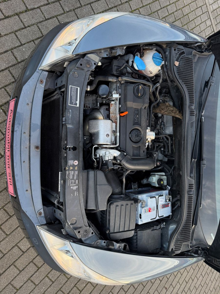 Λιμουζίνα/ Sedan Skoda Octavia 1.4 TSI Elegance: φωτογραφία 17 Λιμουζίνα/ Sedan Skoda Octavia 1.4 TSI Elegance: φωτογραφία 17