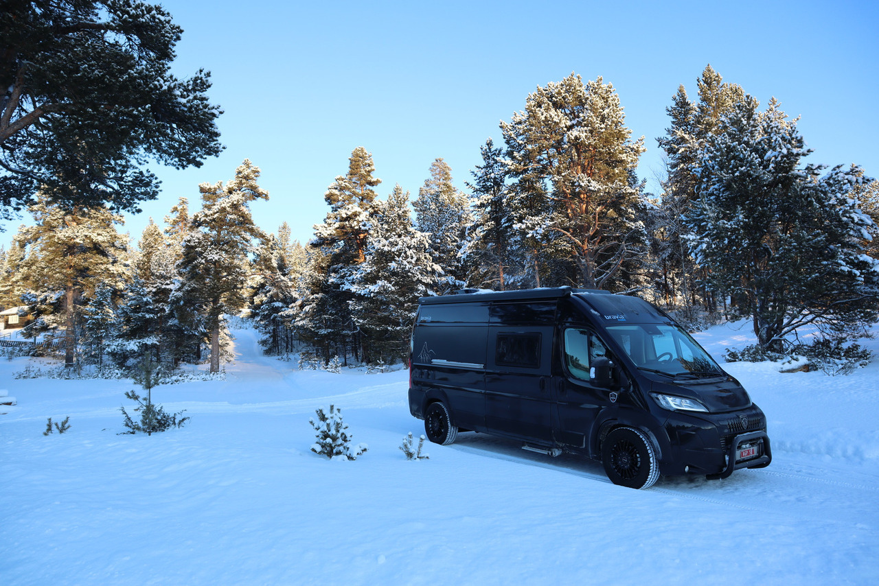 Bravia Swan 599 Nordic - Αυτοκινούμενο βαν: φωτογραφία 1 Bravia Swan 599 Nordic - Αυτοκινούμενο βαν: φωτογραφία 1