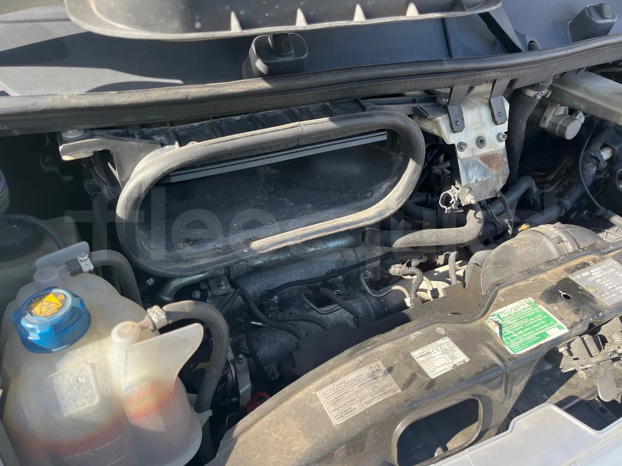 Σχολικό λεωφορείο Fiat Ducato: φωτογραφία 20