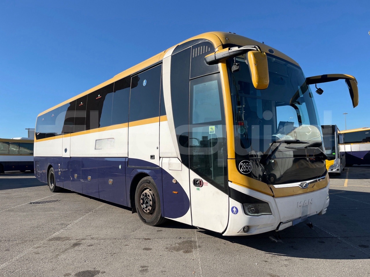 Man Lion's Coach - Πούλμαν: φωτογραφία 1 Man Lion's Coach - Πούλμαν: φωτογραφία 1